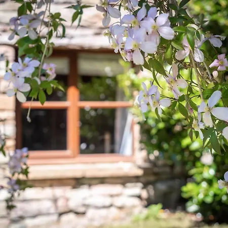 Prázdninový dům Garden Pooley Bridge