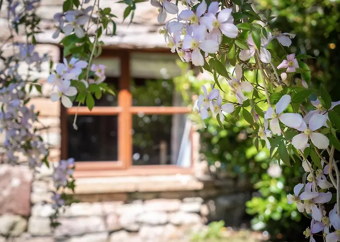 Prázdninový dům Garden Pooley Bridge